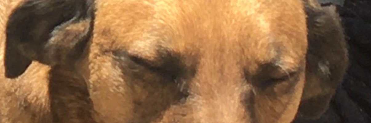 paulrod71's profile banner image