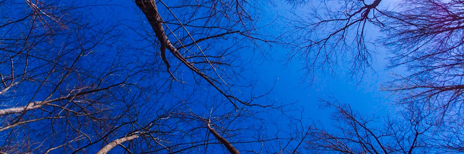 nomadfeb's profile banner image