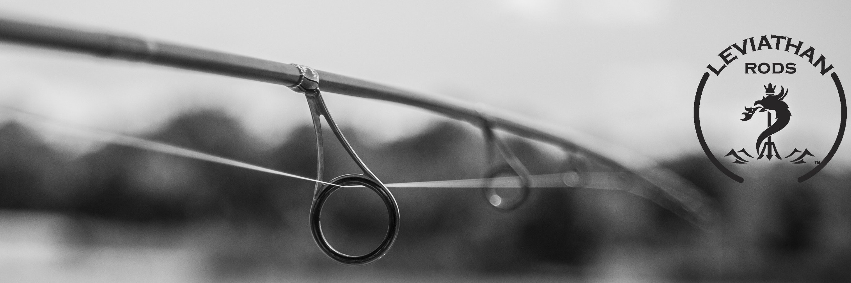 LeviathanRods's profile banner image