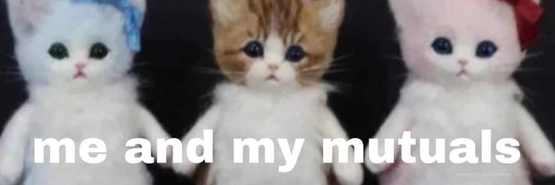 stefenyolo's profile banner image