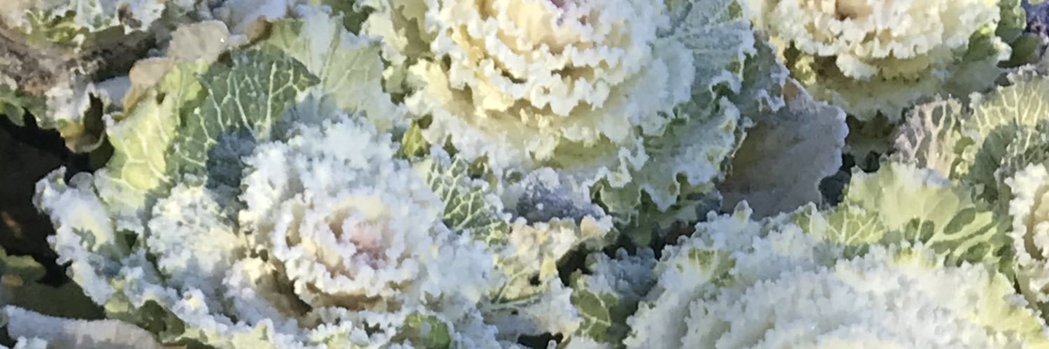 glittertitsid's profile banner image