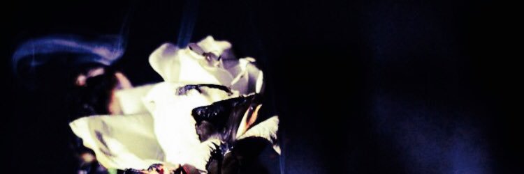 BekahMoosie's profile banner image