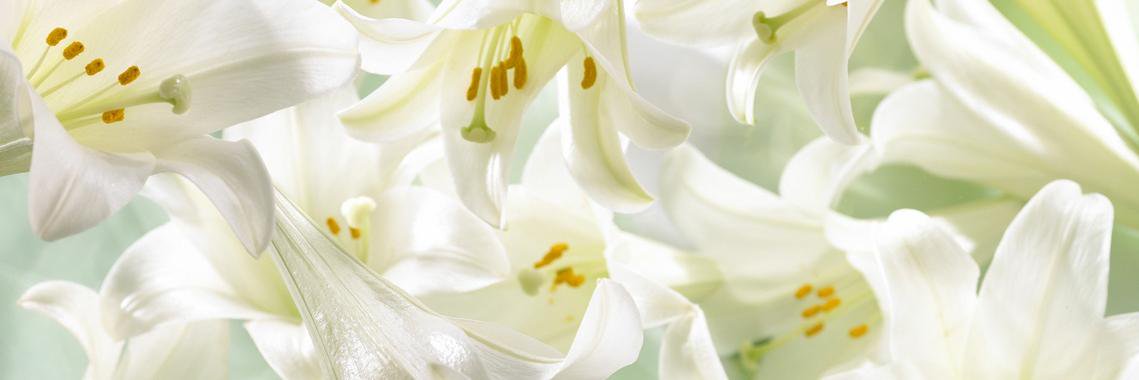 CRM_76's profile banner image