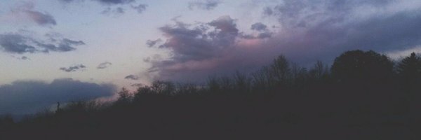 LoboNegroFilms Profile Banner