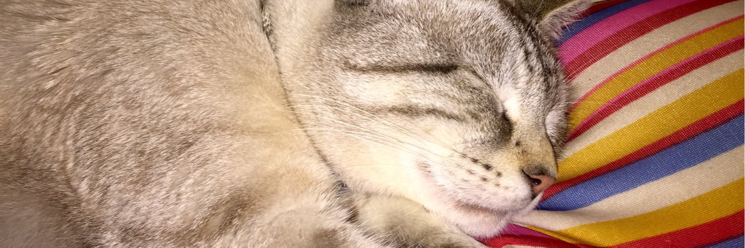 AshLinxKitty's profile banner image