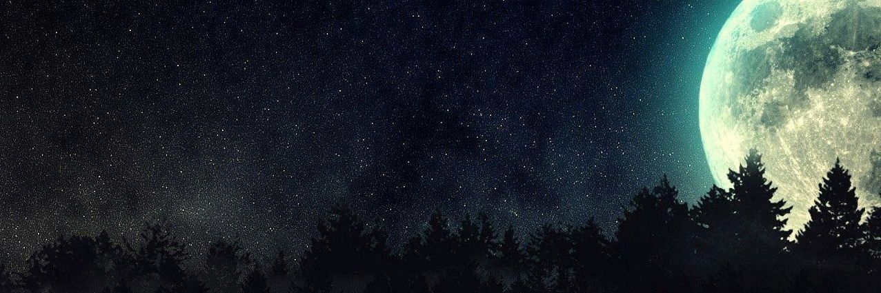 FrikiRocker's profile banner image