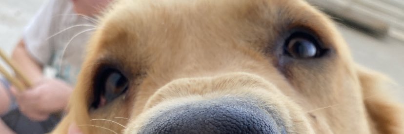 camigonzalez_2's profile banner image