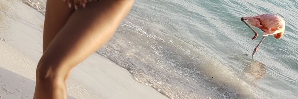 FamnHaitian's profile banner image