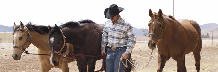 HoofMinder's profile banner image