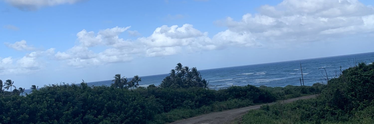 KaylaC40's profile banner image