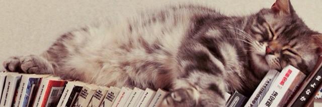 putriekaahmad's profile banner image