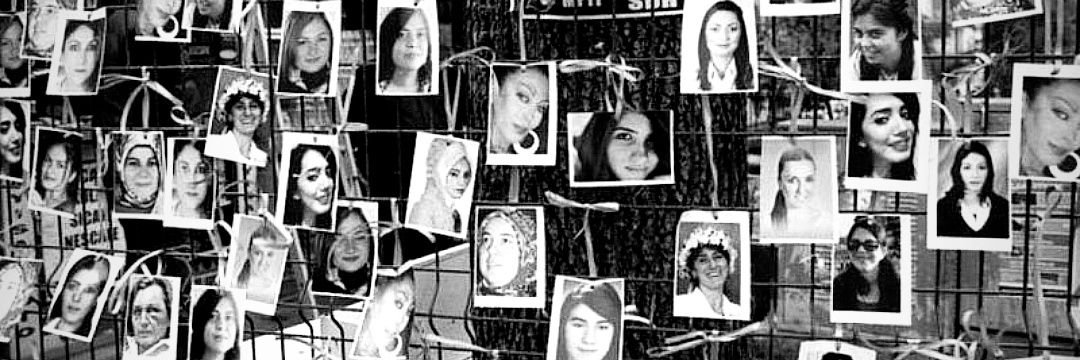 seriifees's profile banner image