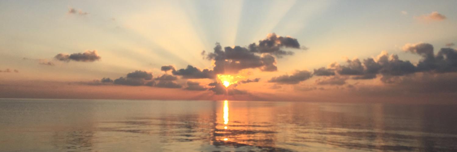 imintox's profile banner image