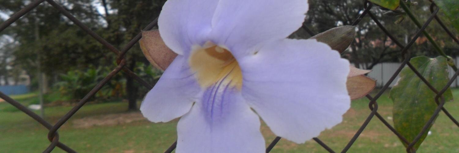 NeirNury's profile banner image