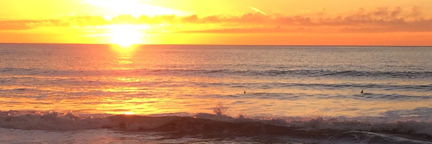 barrysnitovsky's profile banner image