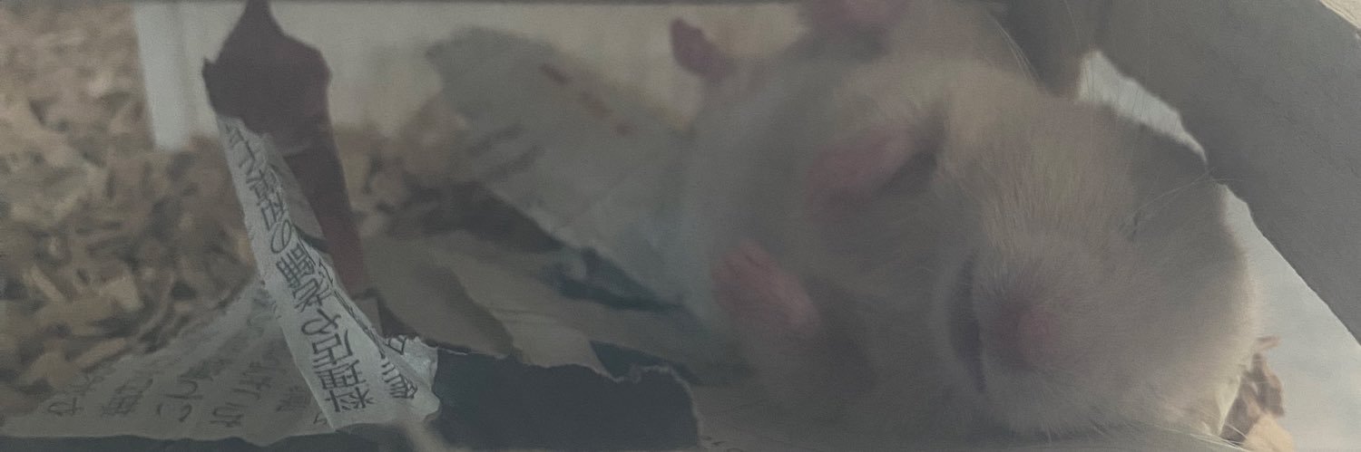 _moment banner