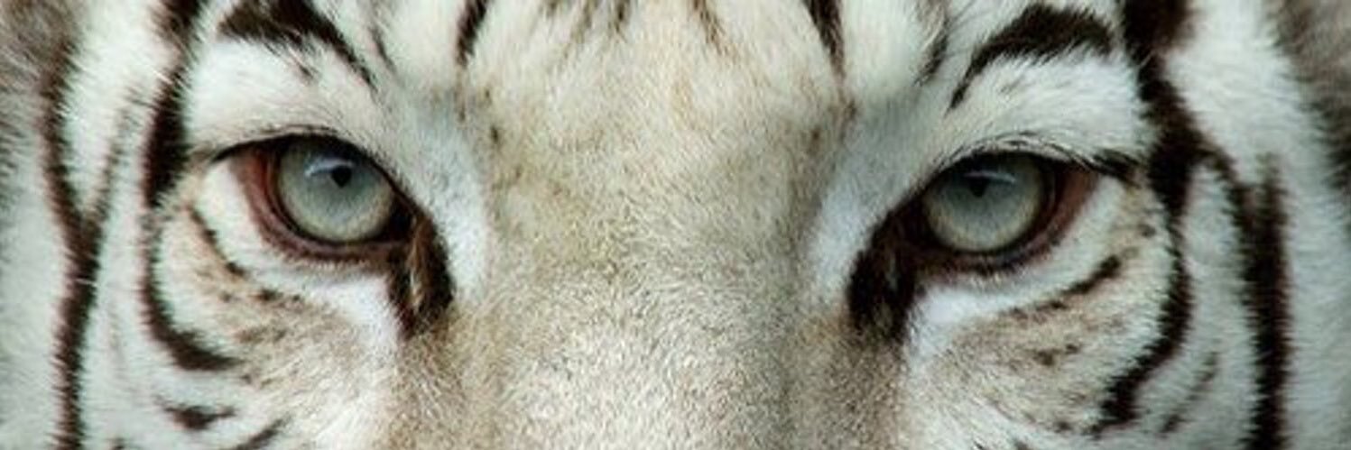 MarkyisGod's profile banner image