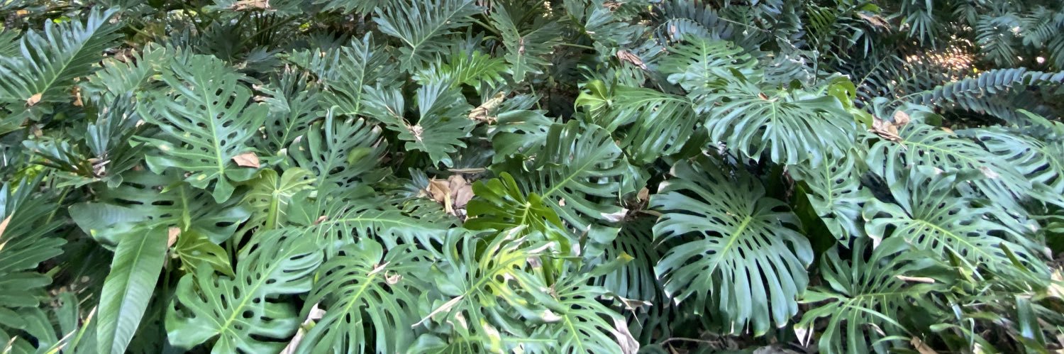 Bernhard Mayr banner