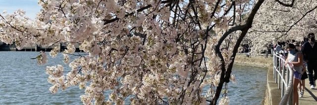 may111_Q's profile banner image