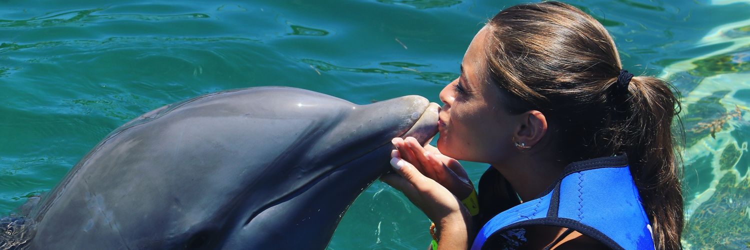 laur_kessler's profile banner image