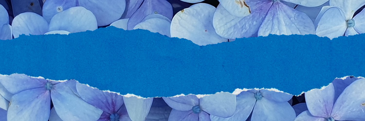 CerpaSebastian's profile banner image