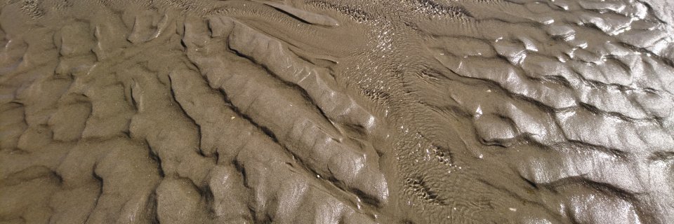xdevleeschouwer's profile banner image