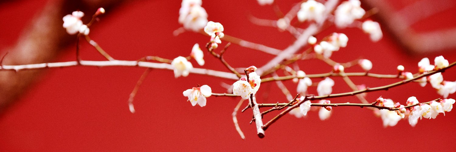 chenzhou's profile banner image
