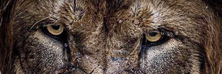 Scuwopp's profile banner image