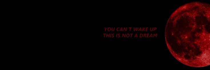 caetano_8_xdhtt's profile banner image