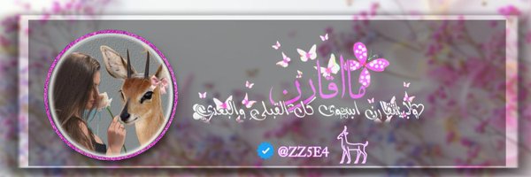 zzc5_ Profile Banner