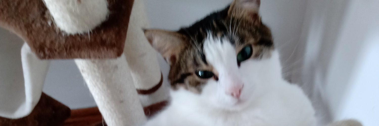 coco_des16's profile banner image