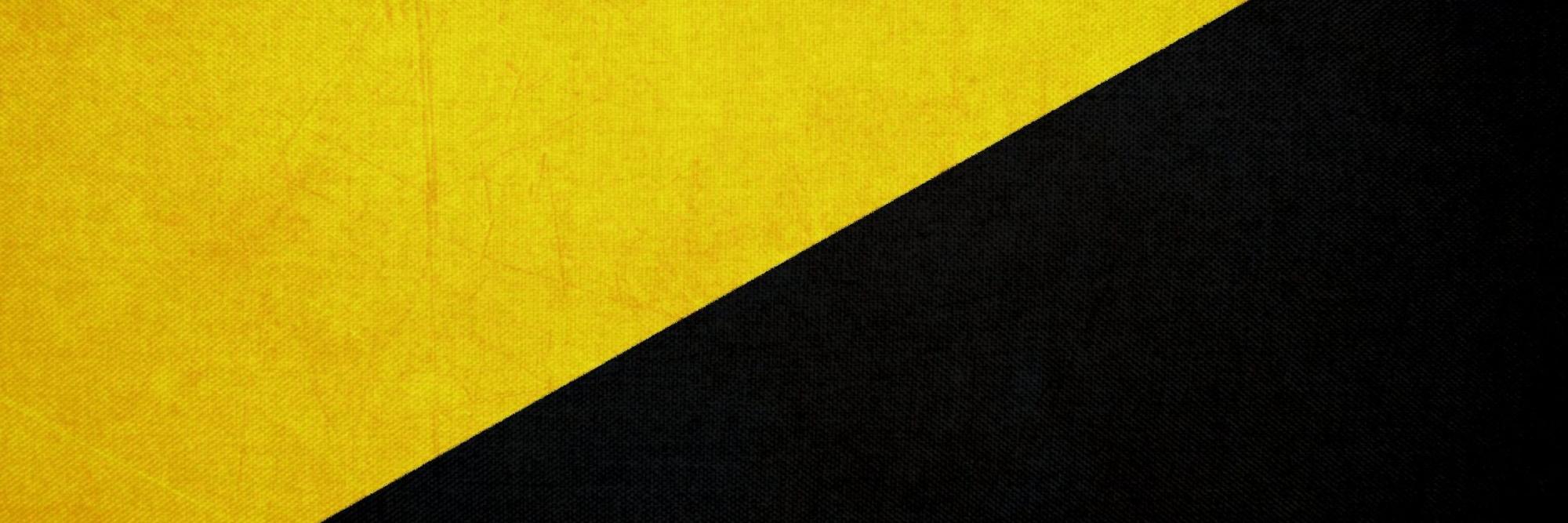 🟨⬛The Libertarian Chemist 🟨⬛ banner