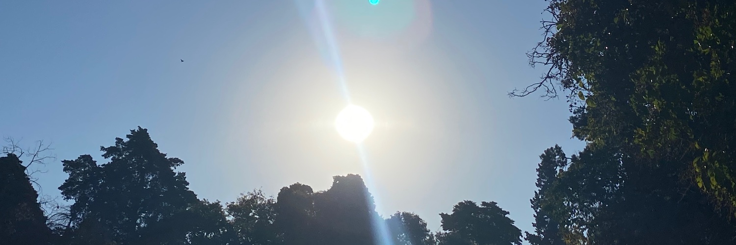giulipalomo's profile banner image