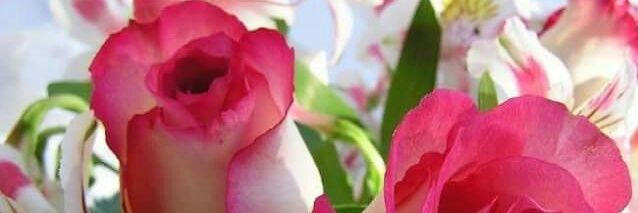 NourHayati136's profile banner image