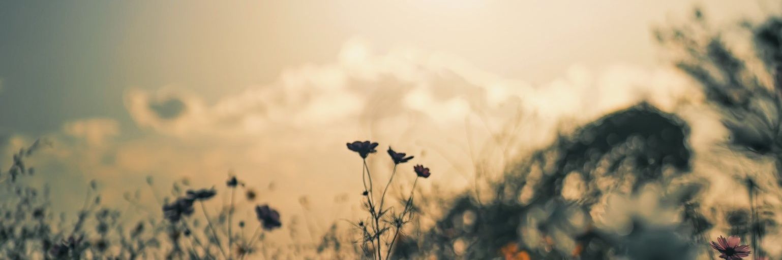 FauzanAdithyaa's profile banner image
