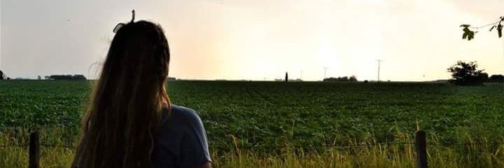Giulinannini's profile banner image