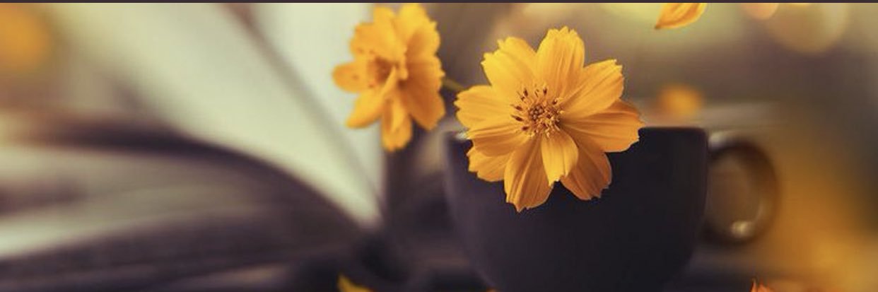 xa_m2017's profile banner image