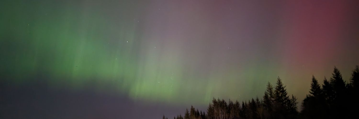 Royna_Moss's profile banner image