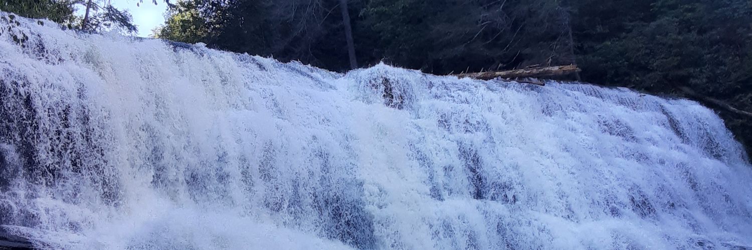 Dodaddy95's profile banner image