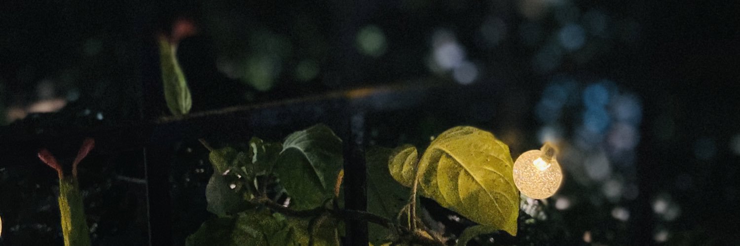 deeocter's profile banner image