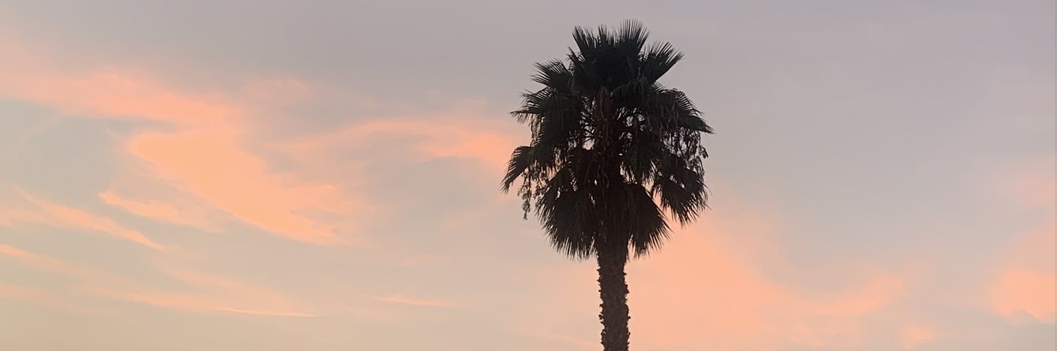 Nikki_C_Torres's profile banner image