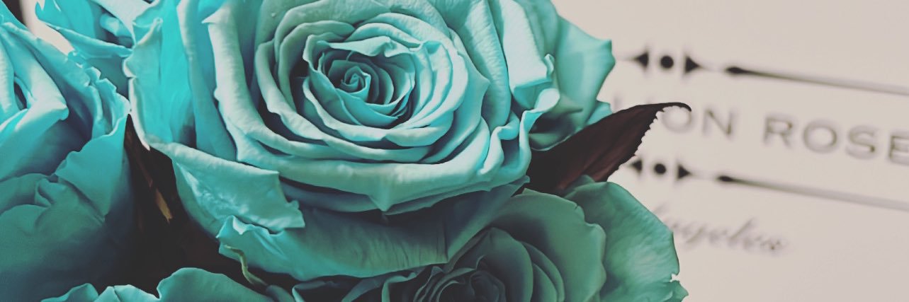 tiffsonly's profile banner image