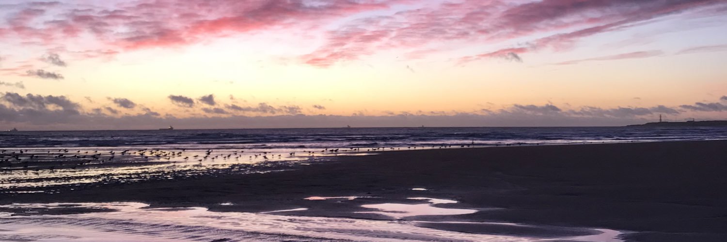 AliceFrancesss's profile banner image