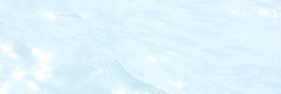 Hailey. banner