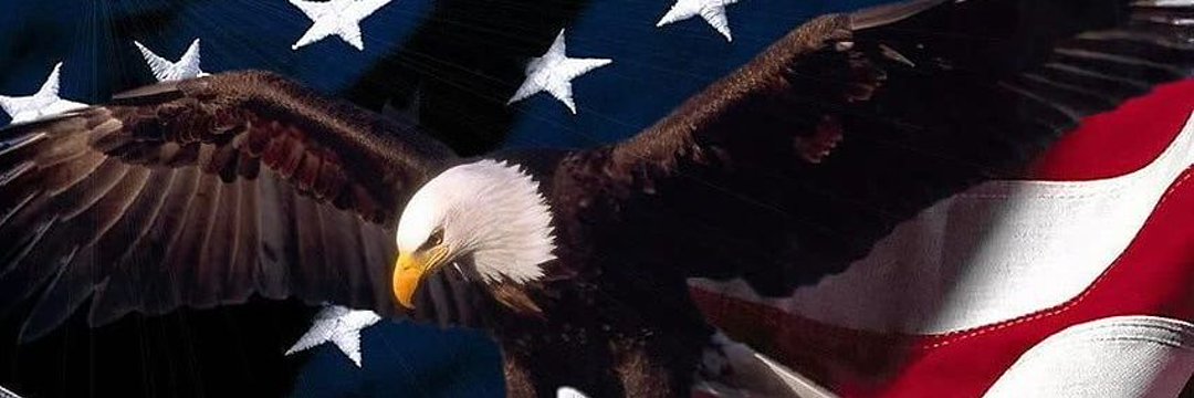 M2OG309's profile banner image