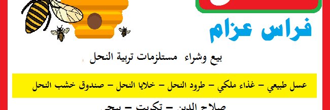 Beekeeping_Iraq's profile banner image