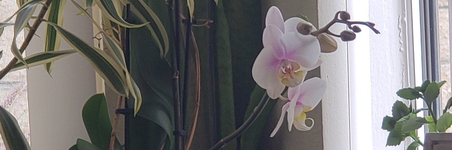 Dr. Zanaida Stewart Robles banner