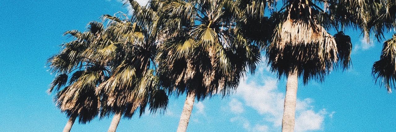 a_yapiyoooo's profile banner image