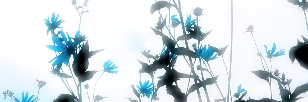 dora_7325's profile banner image