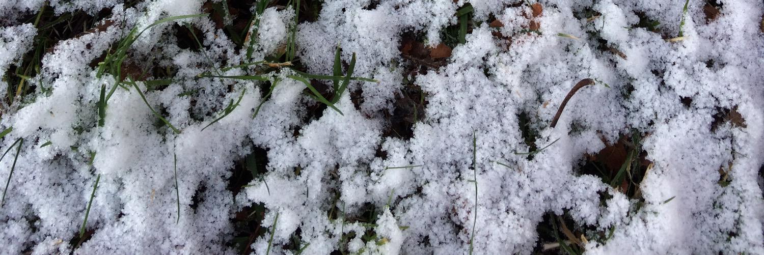 Alexander Pilz banner